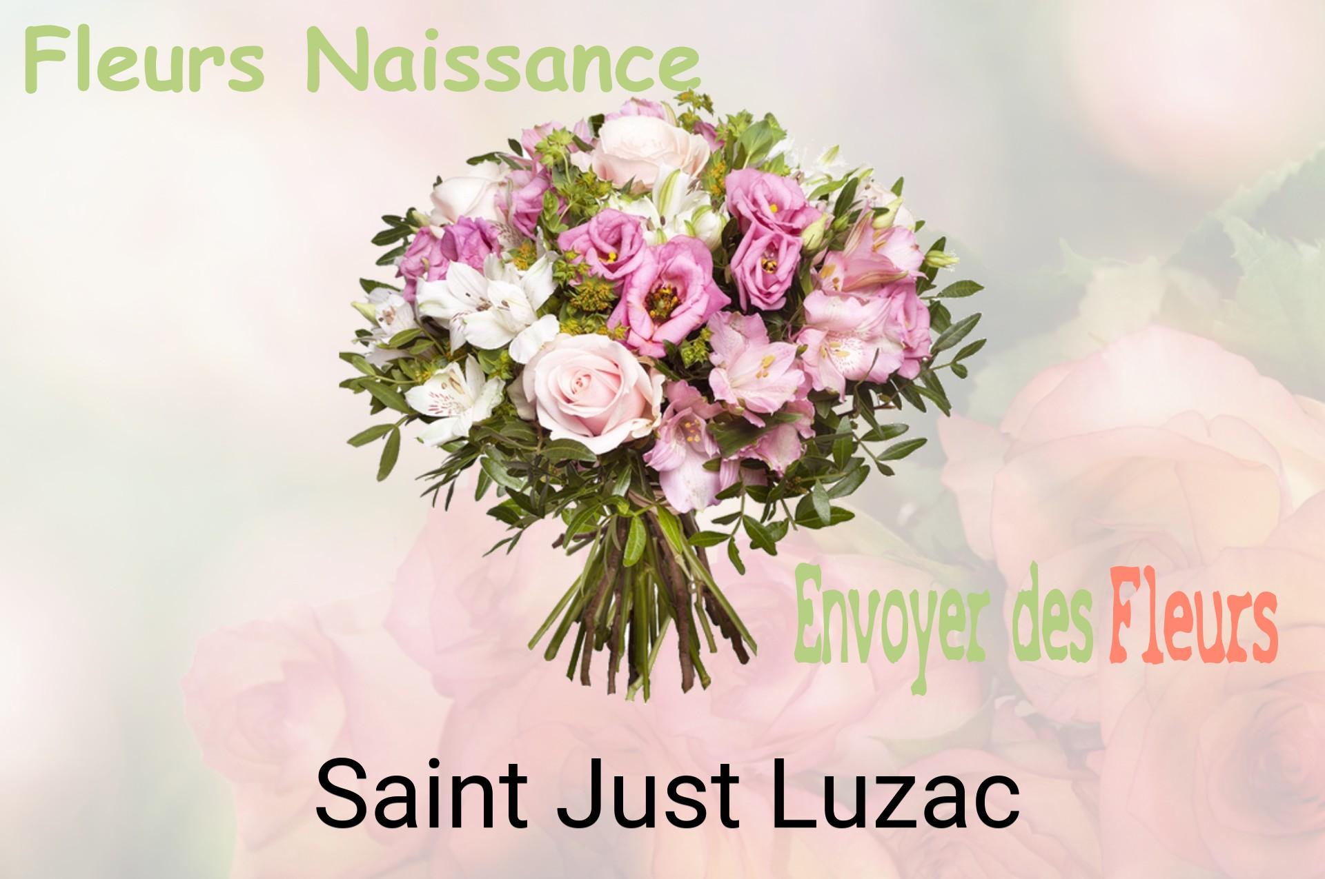Bouquet de fleurs de naissance livré à Saint-Just-Luzac